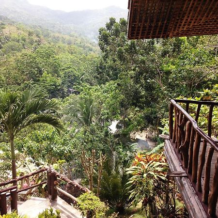 Hilltop Cottages Loboc Eksteriør billede