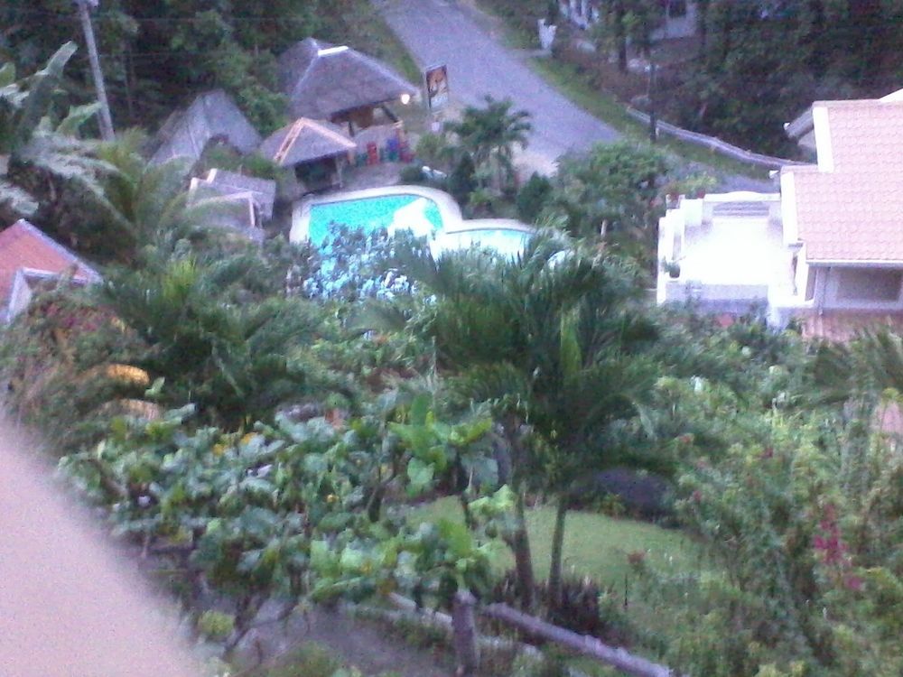 Hilltop Cottages Loboc Eksteriør billede